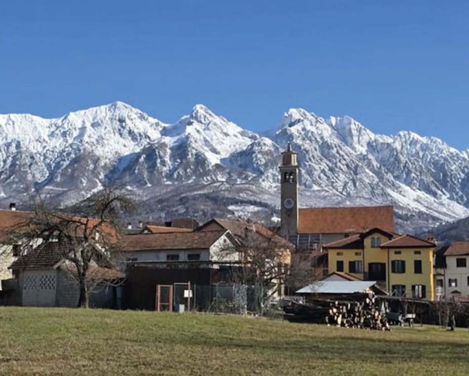 Valle di Susa e funghi: quali specie si trovano in questi boschi?